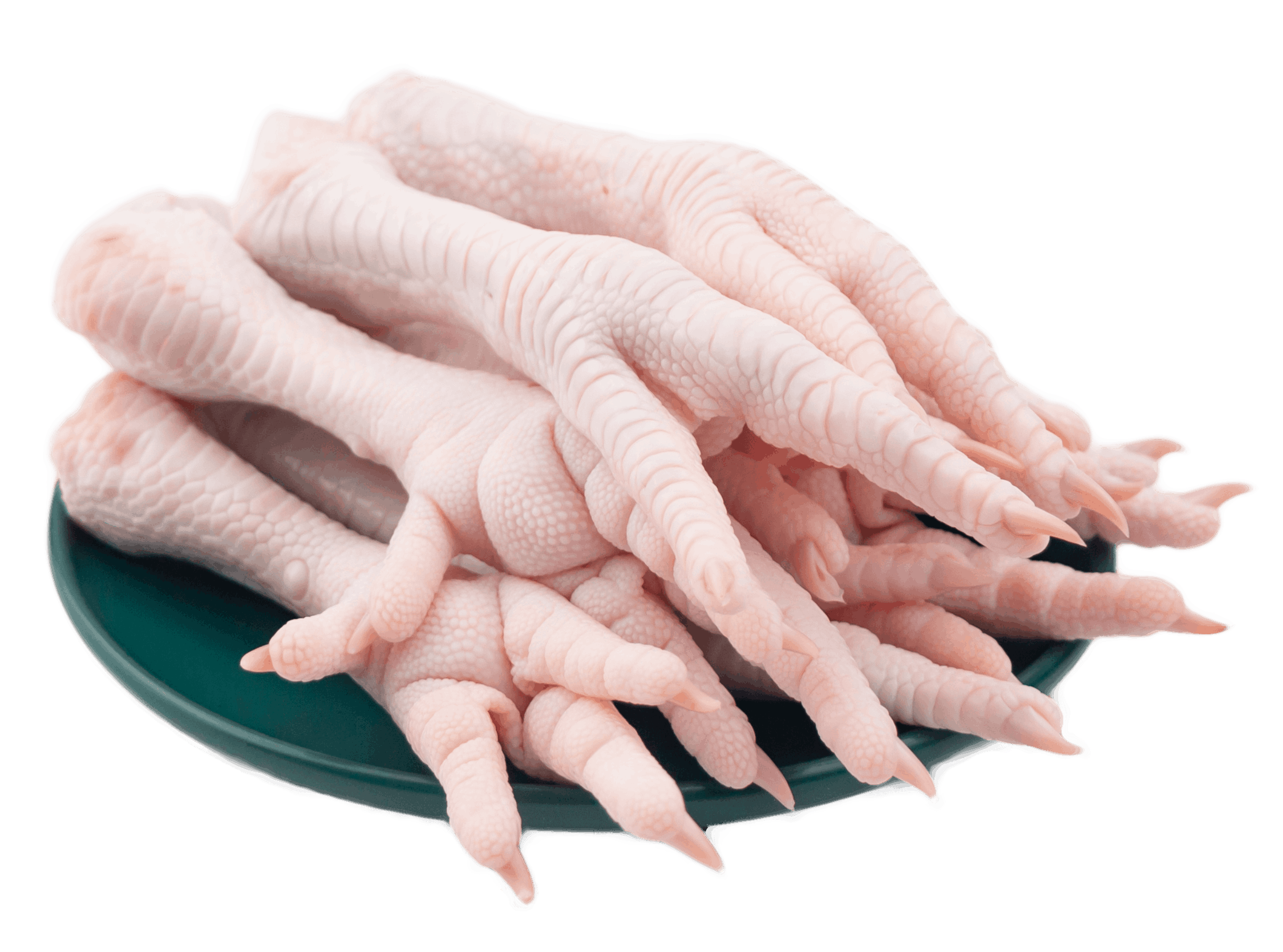 Chicken feet – halal certified poultry parts for export