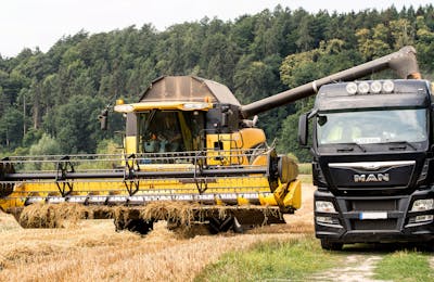Wheat harvest grains and cereals for bulk export