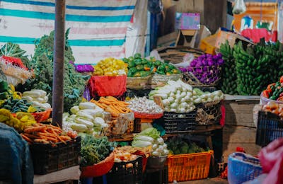 Assorted fresh vegetables for international export
